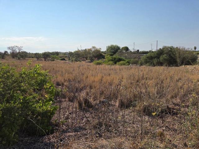 Terreno in vendita a Puglia, Lecce