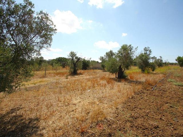Terreno in vendita a Puglia, Lecce