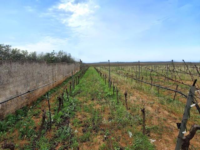 Terreno in vendita a Contrada Santa Maria, Mazara Del Vallo