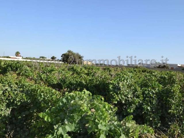 Terreno in vendita a Mazara Del Vallo, Sicilia