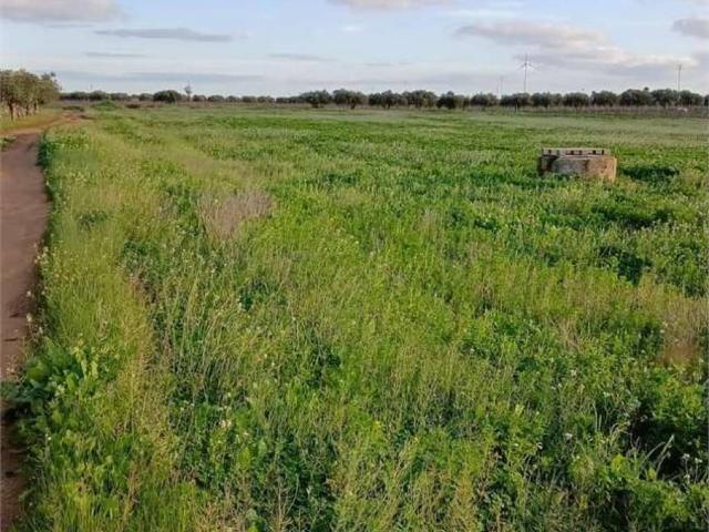 Terreno in vendita a Mazara Del Vallo, Sicilia