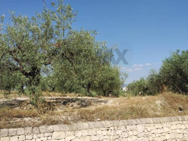 Terreno in vendita a Mazzarrone, Sicilia