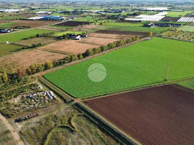Terreno in vendita a Medole, Lombardia