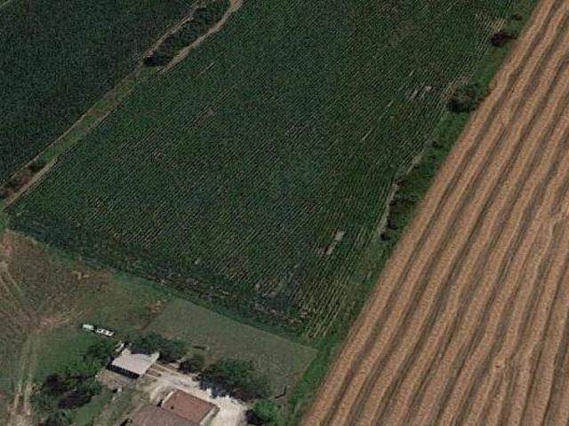 Terreno in vendita a Unione Comuni Modenesi Area Nord, Medolla