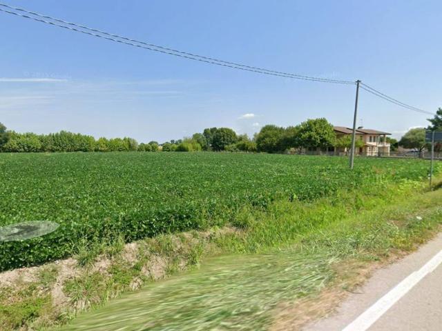 Terreno in vendita a Borgo Veneto, Megliadino San Vitale