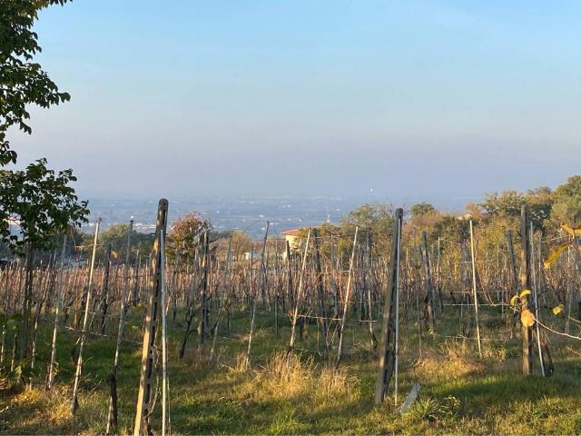 Terreno in vendita a Unione di Comuni della Romagna Forlivese, Meldola