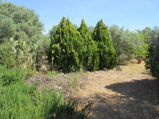 Terreno in vendita a Melilli, Sicilia
