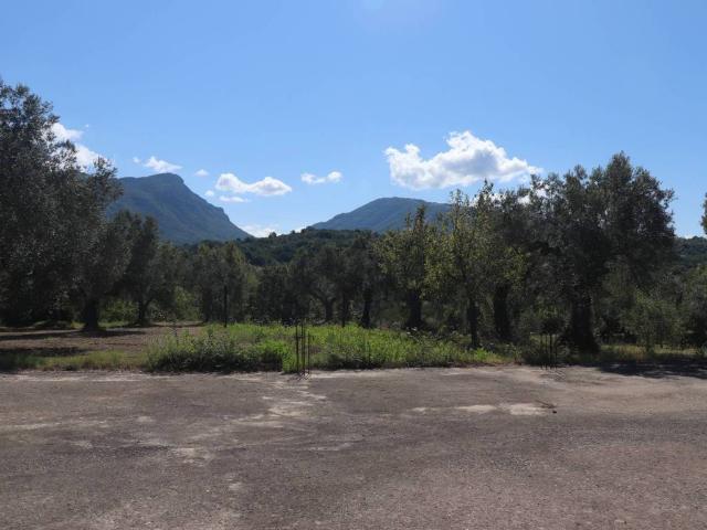 Terreno in vendita a Melizzano, Campania