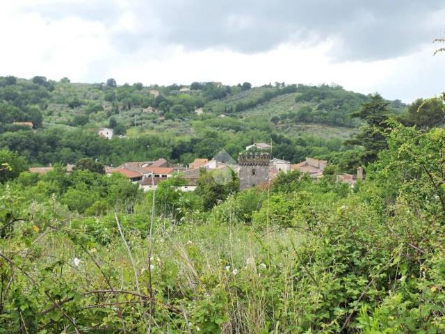 Terreno in vendita a Melizzano, Campania