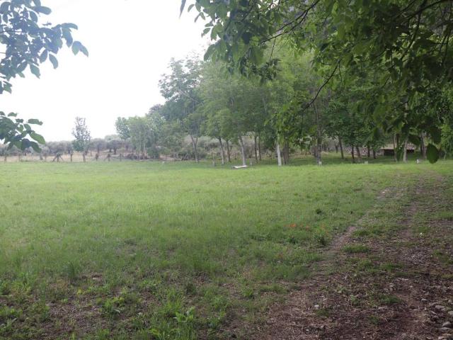 Terreno in vendita a Melizzano, Campania