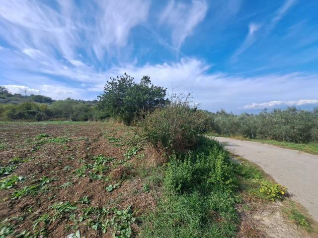 Terreno in vendita a Melizzano, Campania