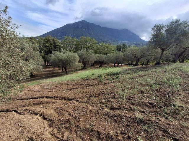 Terreno in vendita a Melizzano, Benevento