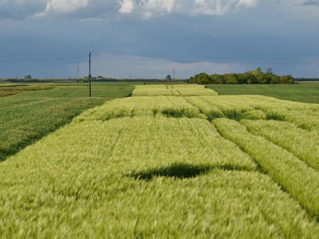 Terreno in vendita a Melzo, Lombardia