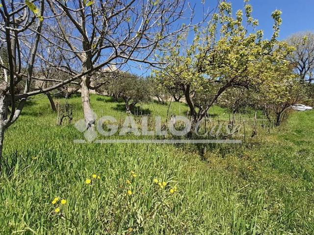 Terreno in vendita a Calabria, Cosenza