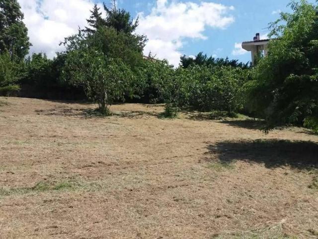 Terreno in vendita a Calabria, Cosenza