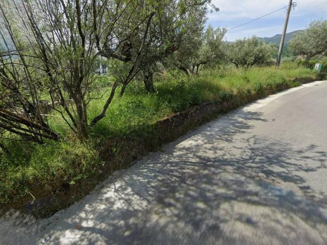 Terreno in vendita a San Bartolo, Calabria