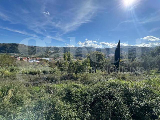 Terreno in vendita a San Bartolo, Calabria