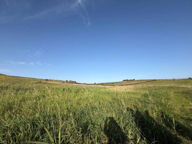Terreno in vendita a Menfi, Sicilia