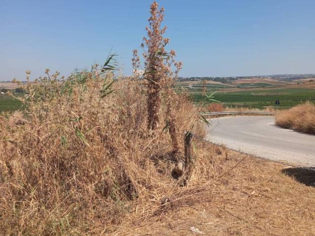 Terreno in vendita a Menfi, Sicilia