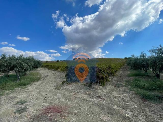 Terreno in vendita a Menfi, Agrigento
