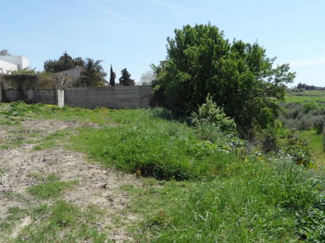 Terreno in vendita a Menfi, Sicilia