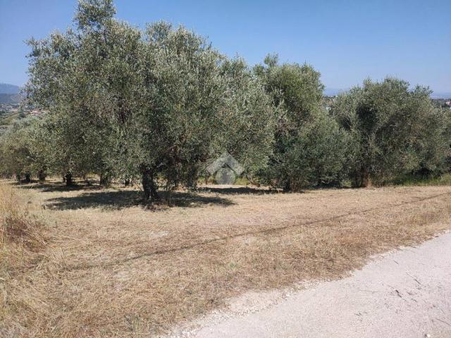 Terreno in vendita a Roma Capitale, Lazio