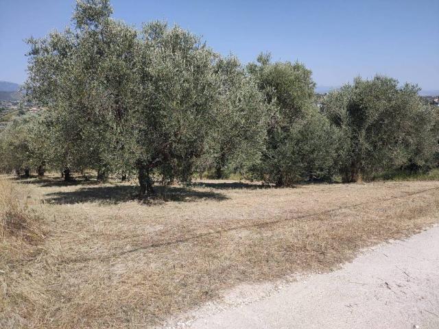 Terreno in vendita a Roma Capitale, Lazio