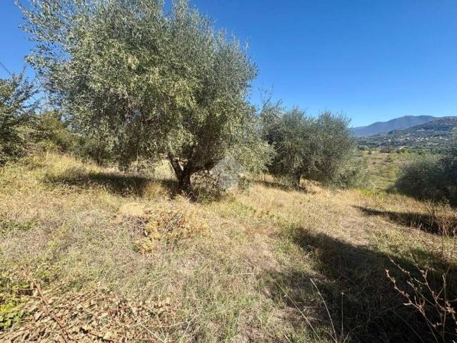 Terreno in vendita a Mentana, Roma Capitale
