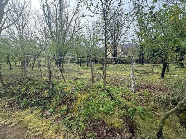 Terreno in vendita a Mercato San Severino, Campania