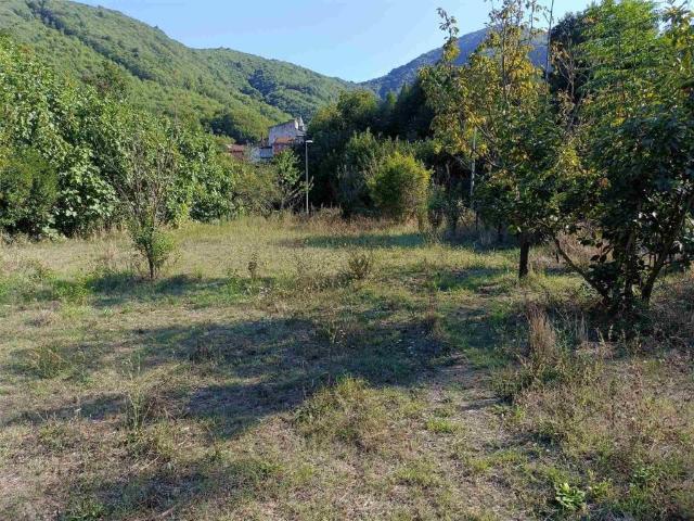 Terreno in vendita a Curteri, Mercato San Severino
