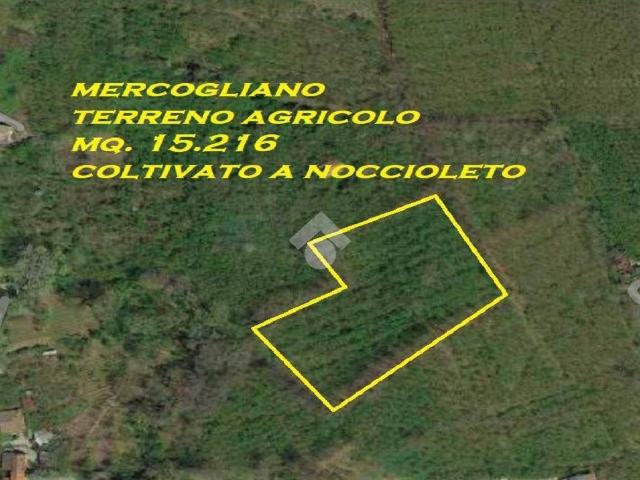 Terreno in vendita a Mercogliano, Campania