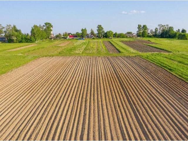 Terreno in vendita a Mereto Di Tomba, Friuli-Venezia Giulia