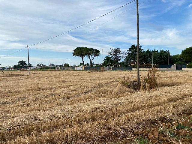 Terreno in vendita a Puglia, Brindisi