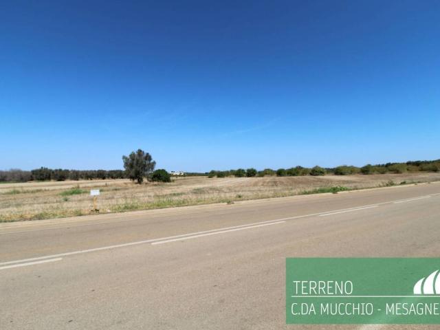 Terreno in vendita a Puglia, Brindisi
