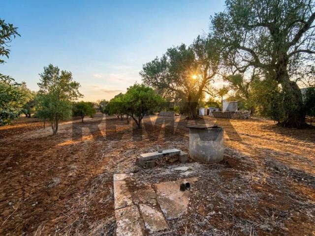 Terreno in vendita a Puglia, Brindisi