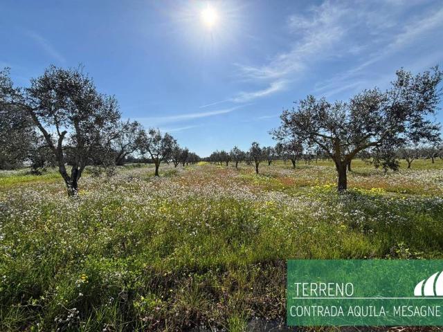 Terreno in vendita a Puglia, Brindisi