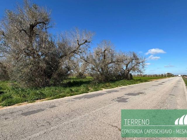 Terreno in vendita a Puglia, Brindisi