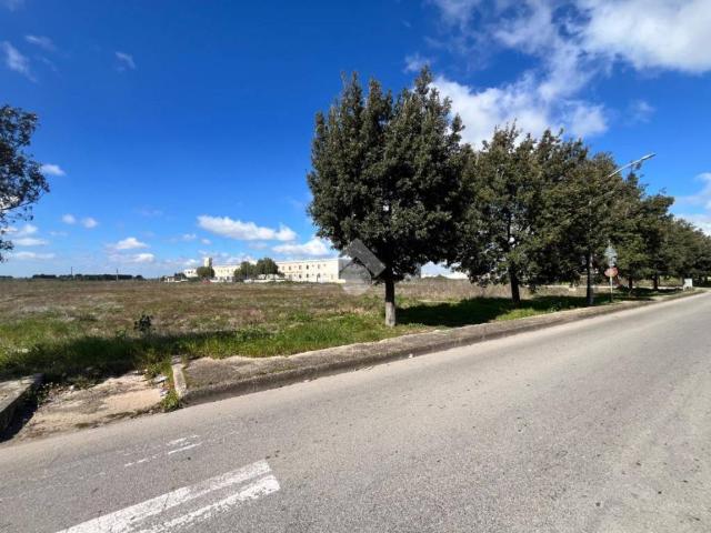 Terreno in vendita a Puglia, Brindisi