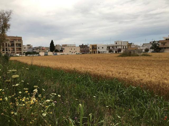 Terreno in vendita a Puglia, Brindisi