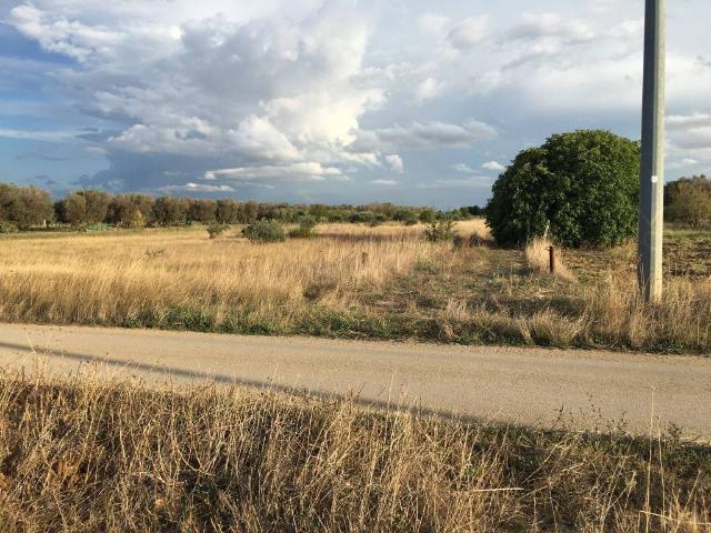 Terreno in vendita a Puglia, Brindisi