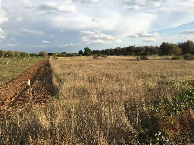 Terreno in vendita a Puglia, Brindisi