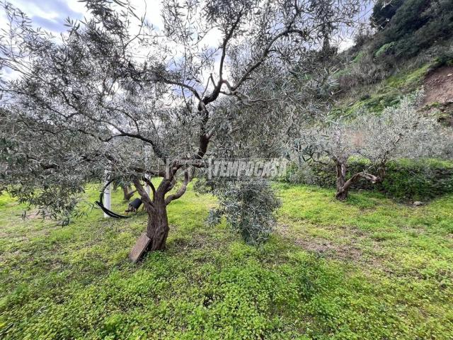 Terreno in vendita a VI Circoscrizione, Messina
