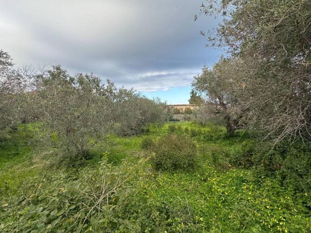 Terreno in vendita a VI Circoscrizione, Messina