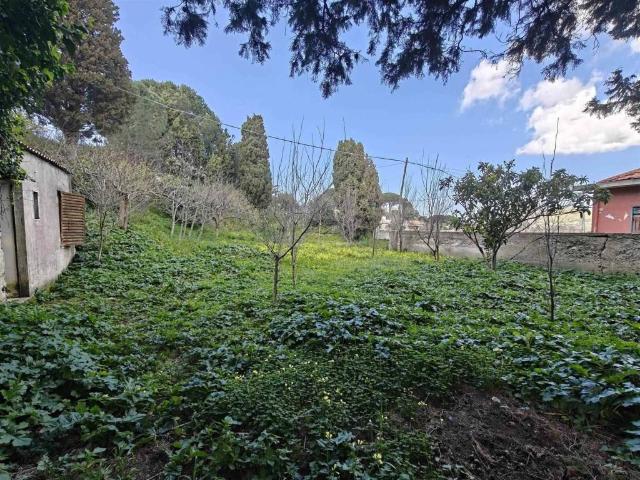 Terreno in vendita a VI Circoscrizione, Messina
