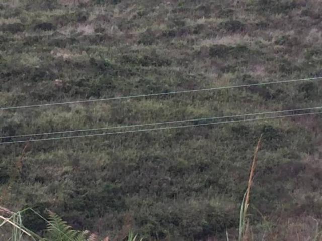 Terreno in vendita a VI Circoscrizione, Messina