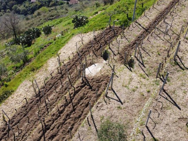 Terreno in vendita a I Circoscrizione, Messina