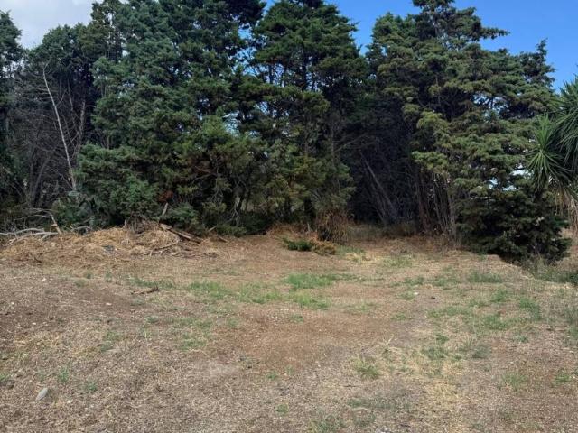 Terreno in vendita a Sperone, Messina