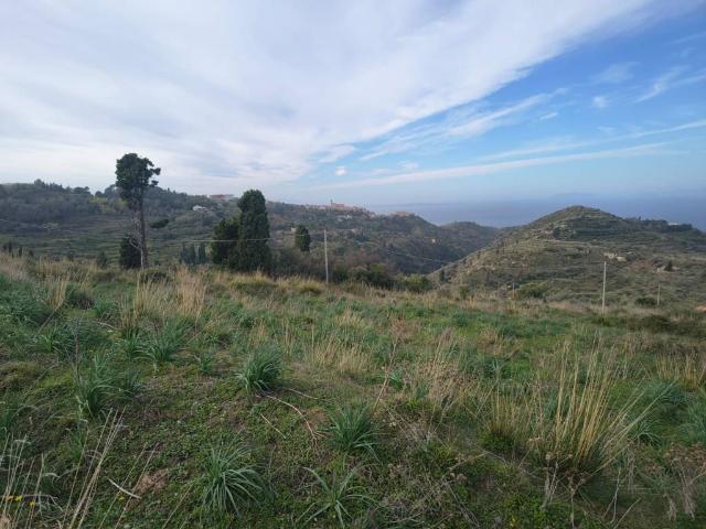 Terreno in vendita a VI Circoscrizione, Messina