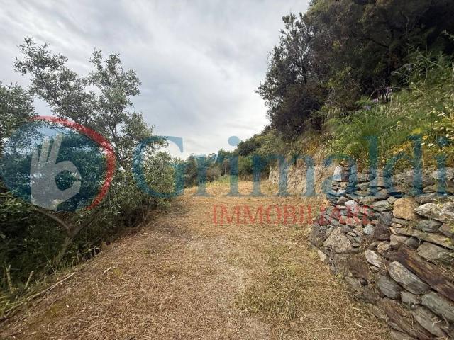 Terreno in vendita a Briga Marina, Messina