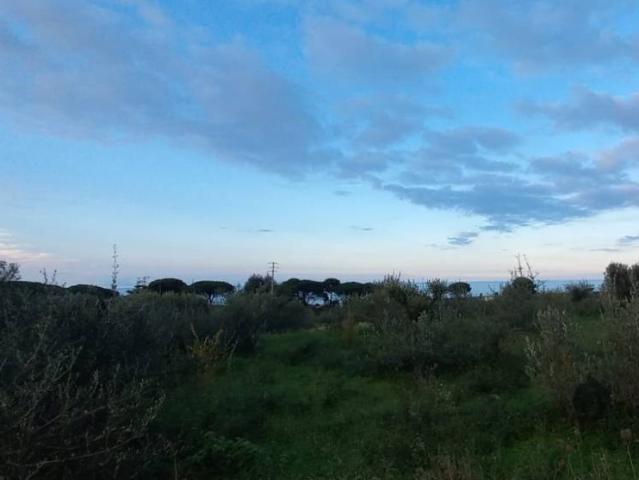 Terreno in vendita a VI Circoscrizione, Messina